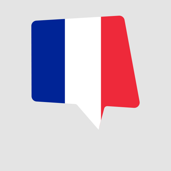 formation français langue étrangère